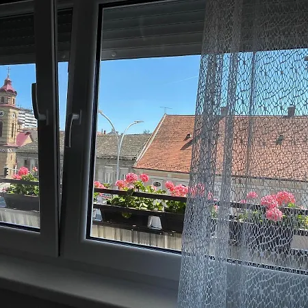 Apartment Sunny